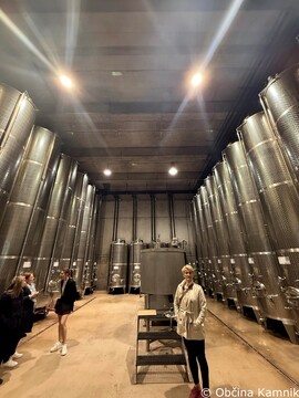 Seja Združenja zgodovinskih mest v Slovenskih Konjicah (3)